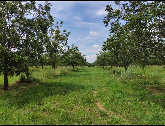 96HA FARM FOR SALE IN HEKPOORT